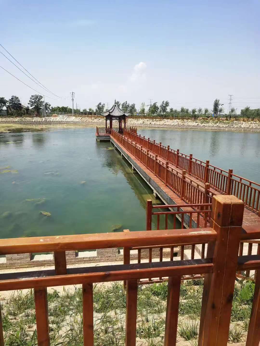 6492f0e6db218442d1dc9b99ffead5d