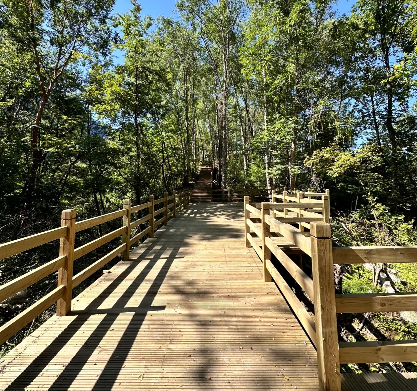 21d6da5720fac9b76fb6edc8bcdc7cc